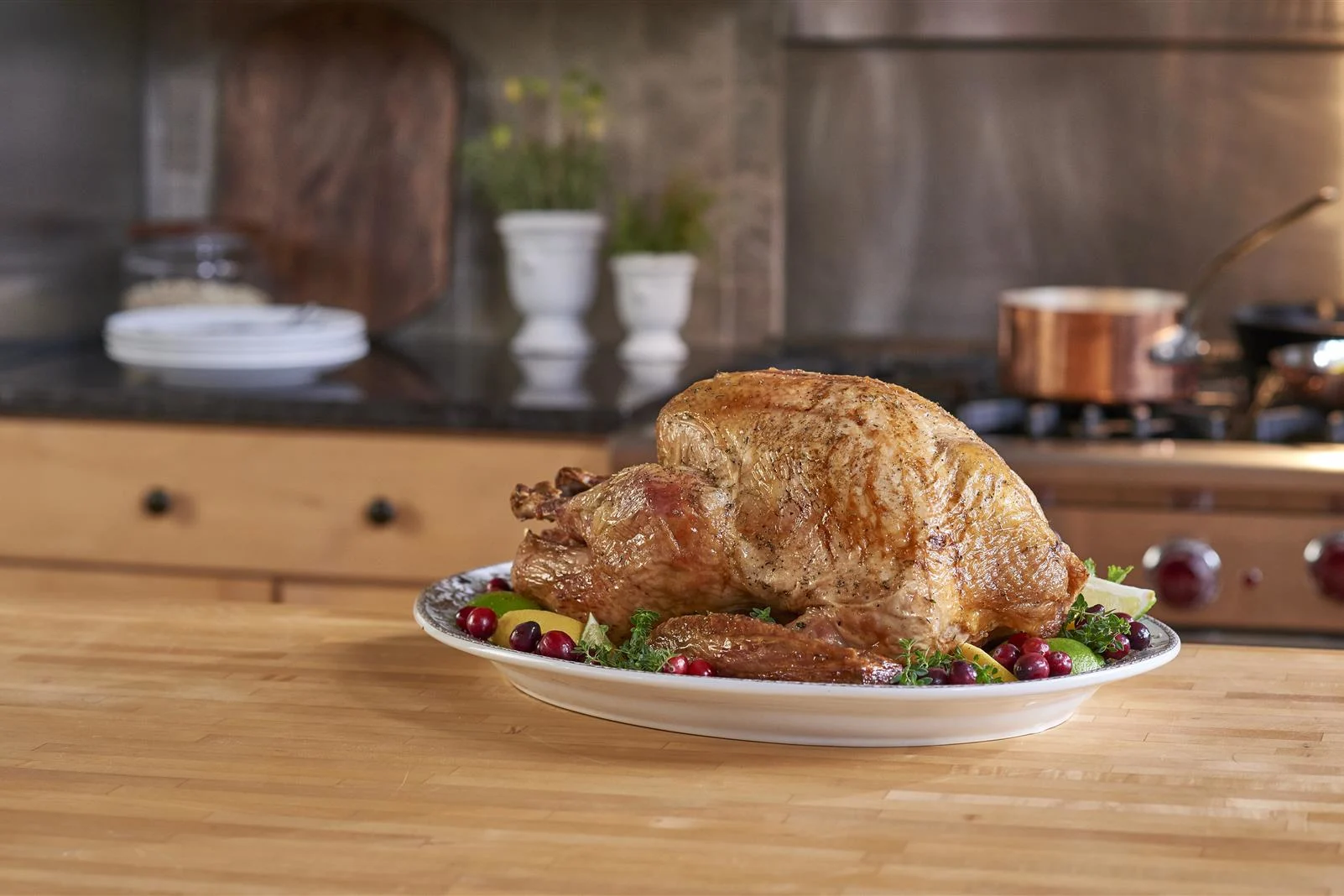 White Cranberry Brined Turkey